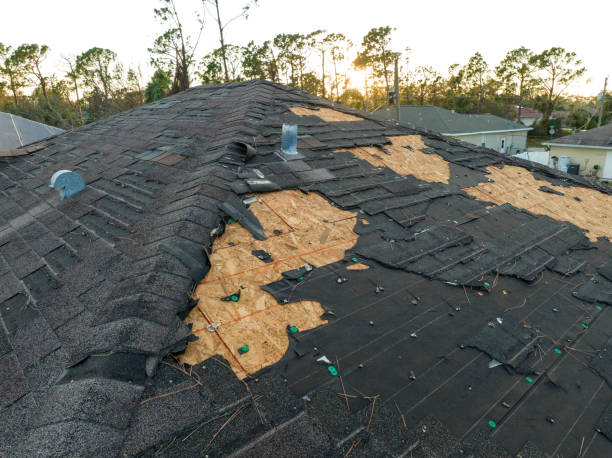 Best Asphalt Shingles Roofing  in South Taft, CA